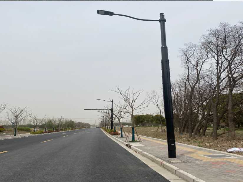 兰山区上海综合杆 太阳能路灯工程